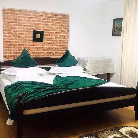 Vila Apartament Sarco Vatra Dornei Exteriér fotografie
