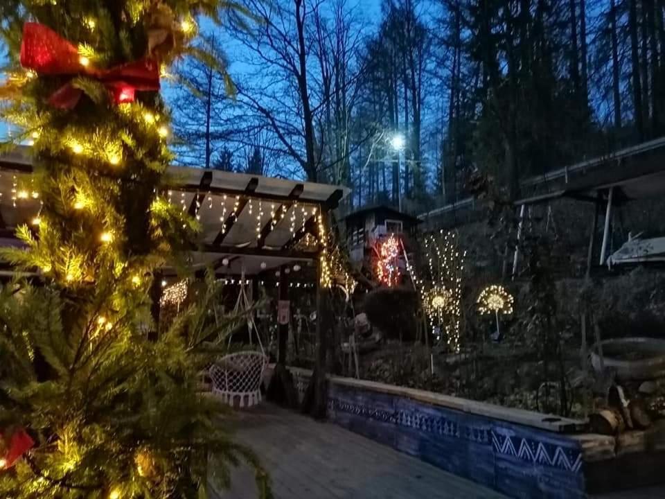 Vila Apartament Sarco Vatra Dornei Exteriér fotografie