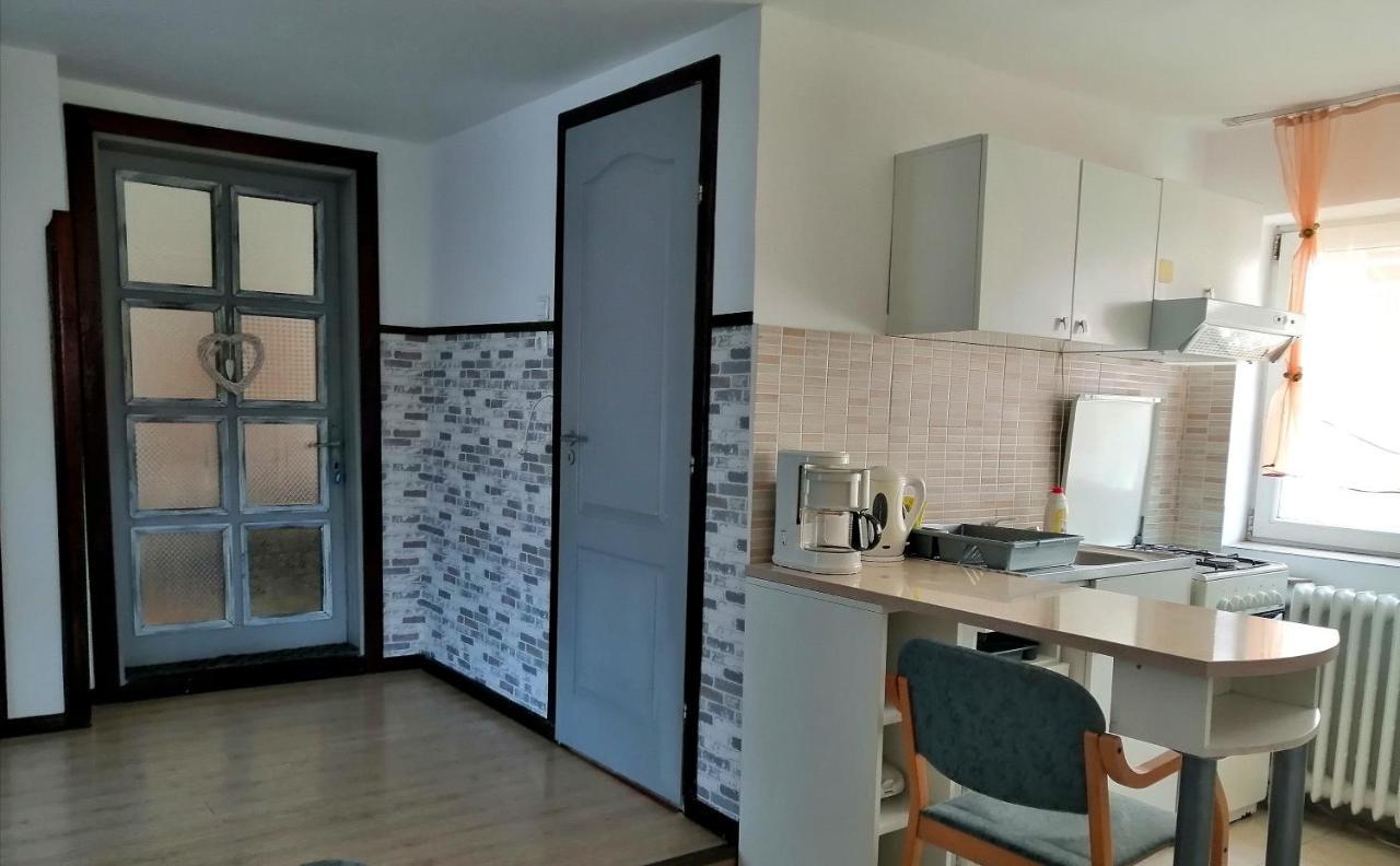 Vila Apartament Sarco Vatra Dornei Exteriér fotografie
