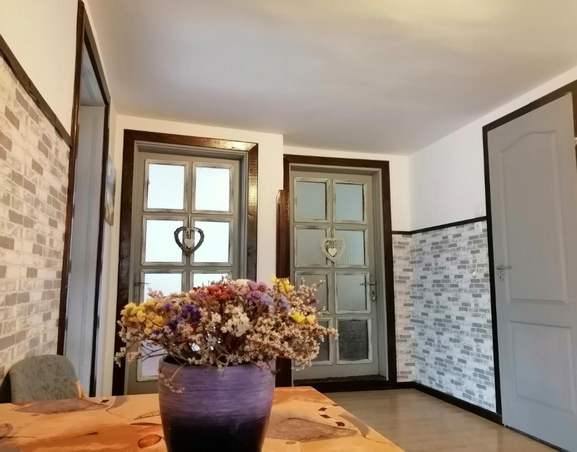 Vila Apartament Sarco Vatra Dornei Exteriér fotografie