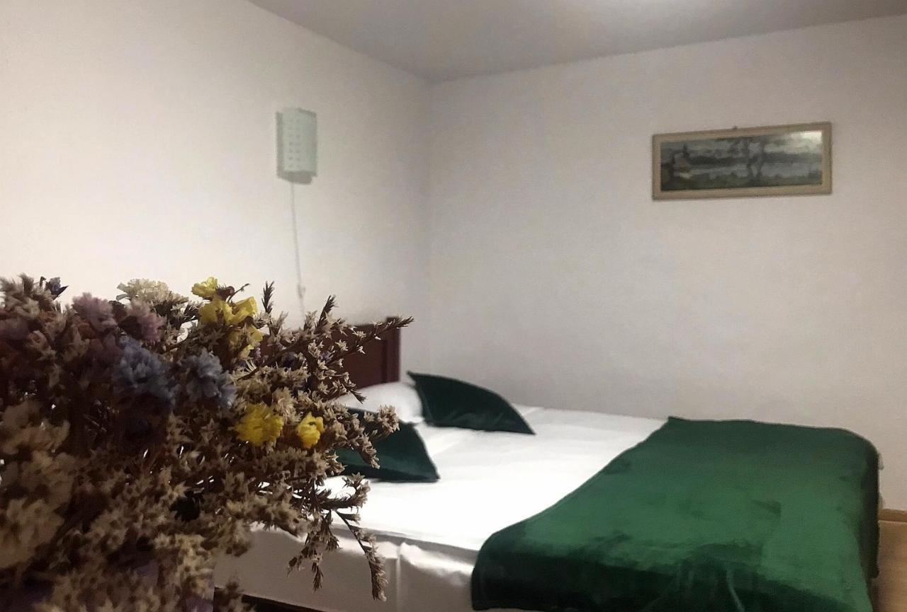 Vila Apartament Sarco Vatra Dornei Exteriér fotografie