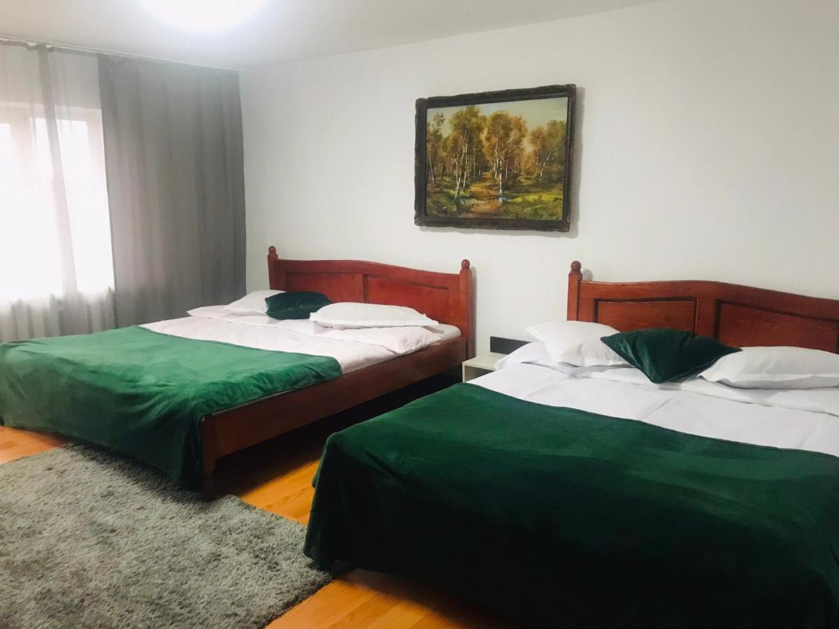 Vila Apartament Sarco Vatra Dornei Exteriér fotografie