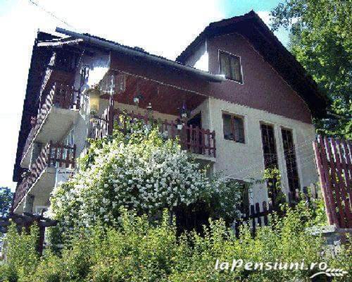 Vila Apartament Sarco Vatra Dornei Exteriér fotografie